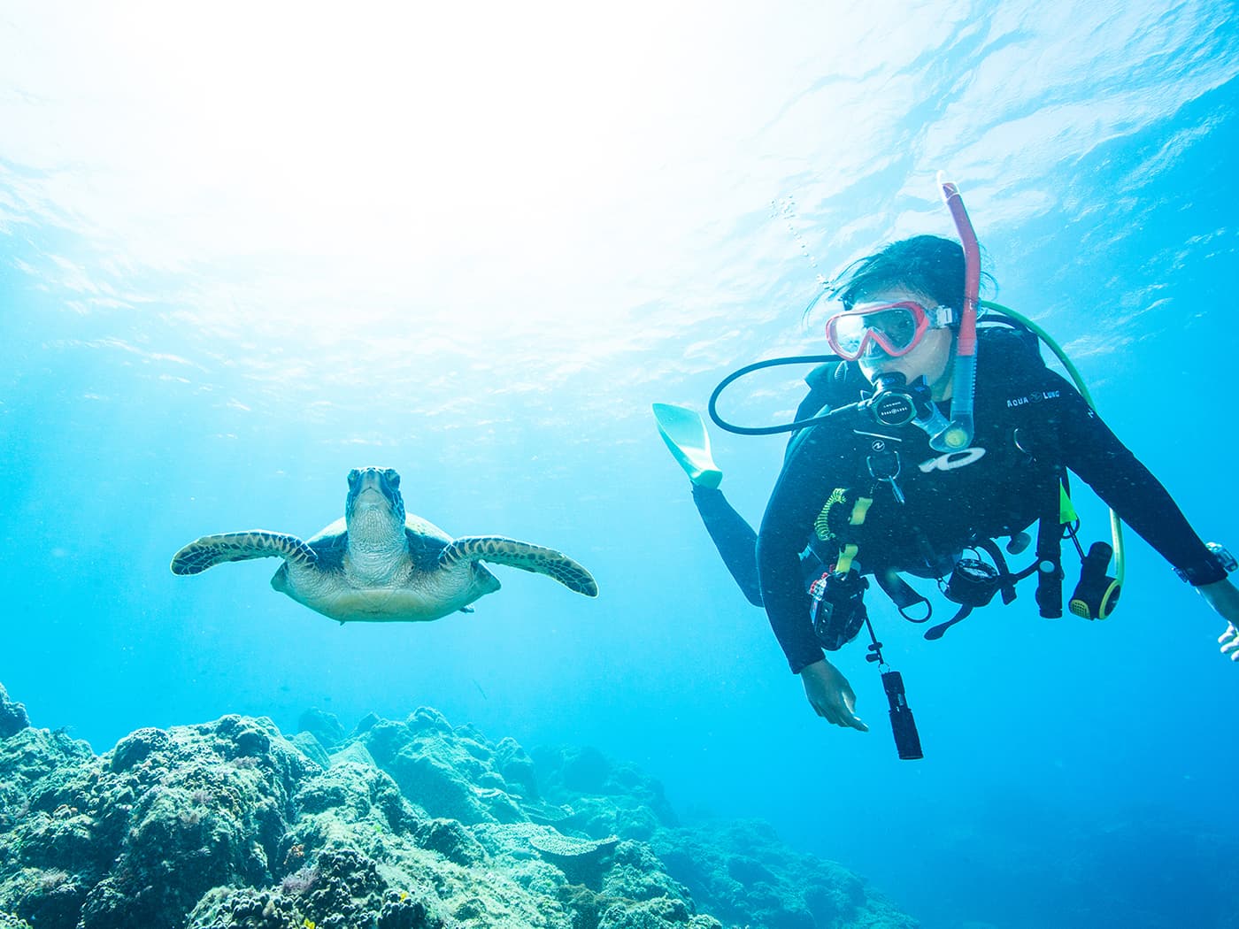 三宅島のダイビング