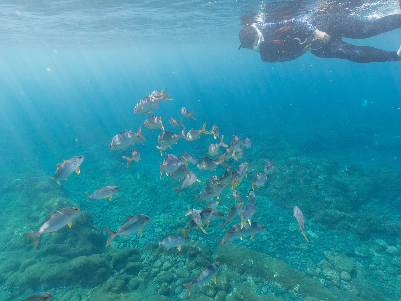 スノーケリング